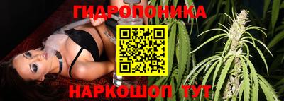 каннабис Будённовск