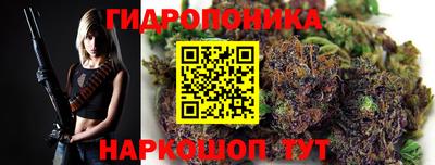 каннабис Будённовск
