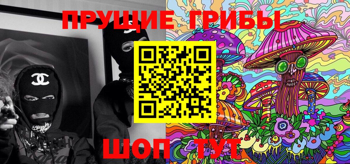 Междуреченск  где купить   Вход с VPN  Галлюциногенные грибы MAGIC MUSHROOMS 